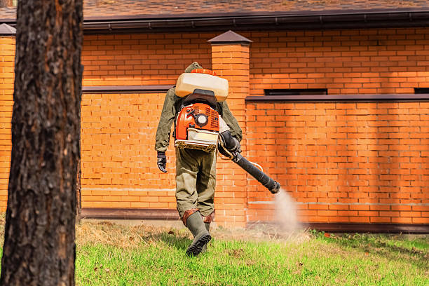Bed Bug Clearance Verification and Documentation in Twin Grove